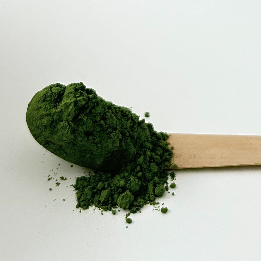 First Harvest Matcha 30g